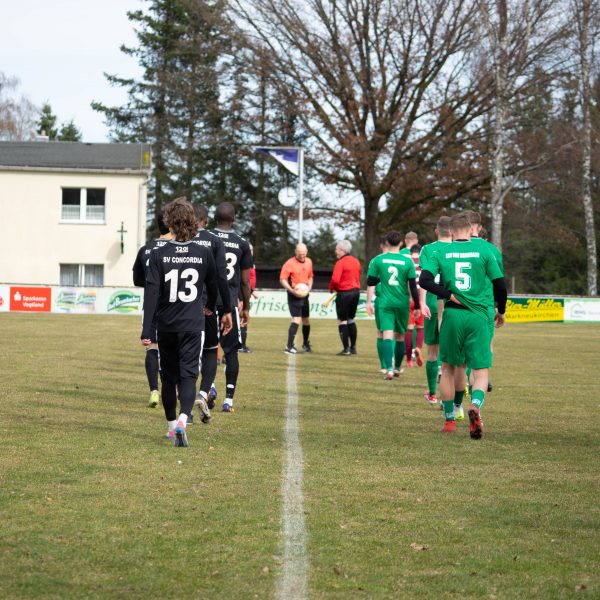 Spielbericht SSV Bad Brambach gegen SV Concordia Plauen